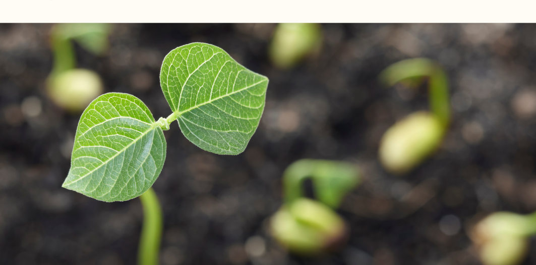 More seed funding for sustainability initiatives